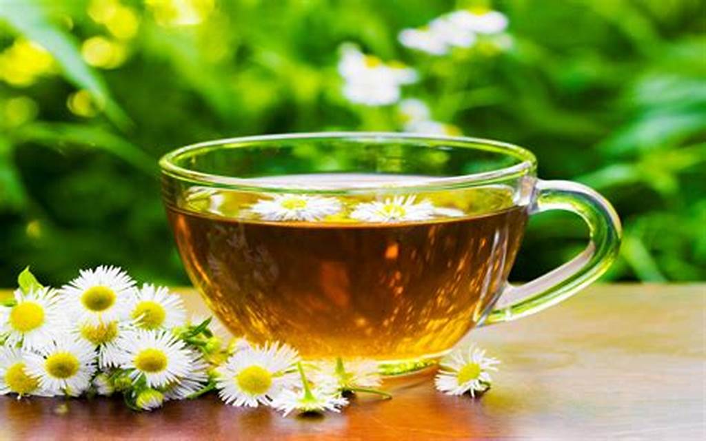 دمنوش لاغری