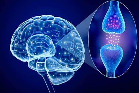 بیماری پارکینسون در وبسایت دکتر عارف