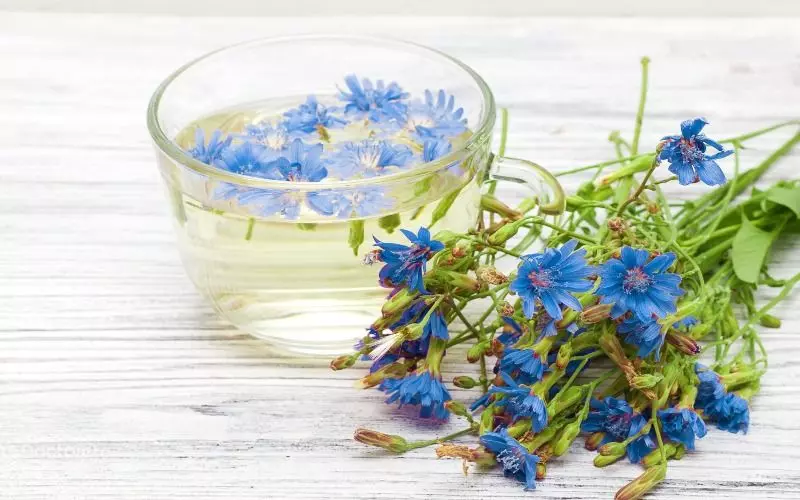 عرق کاسنی برای میگرن