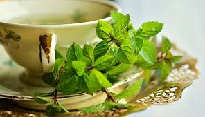 دمنوش برای هضم غذا در طب سنتی
