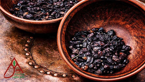 طرز تهیه ترکیب زرشک کوهی و سرکه سیب برای درمان خانگی غلظت خون