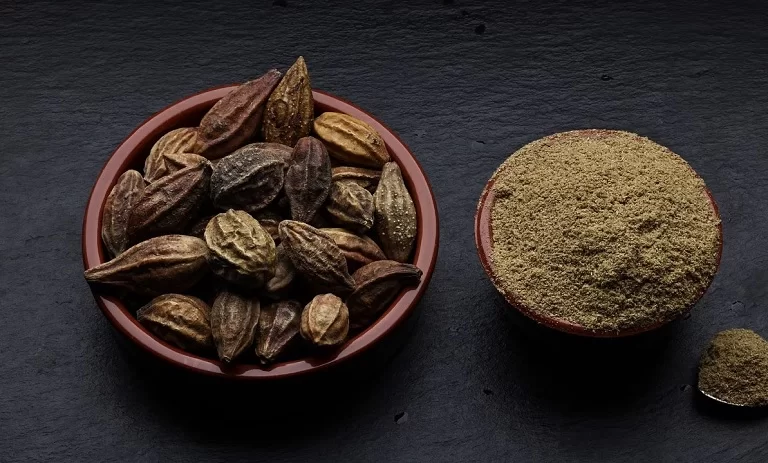 درمان گیاهی آلزایمر و فراموشی در طب سنتی